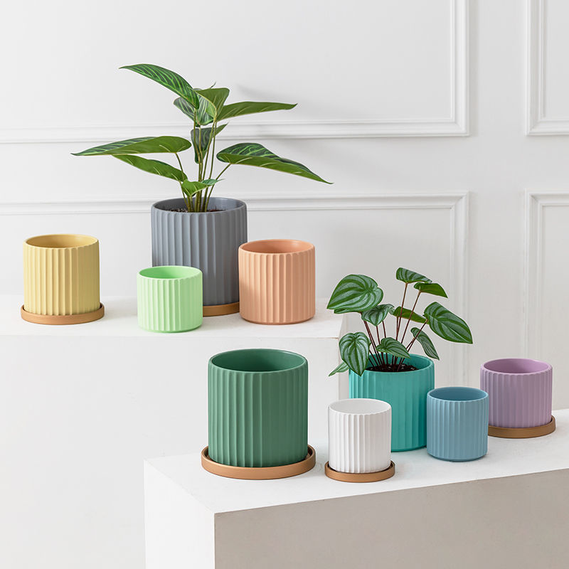 绿萝花盆莫兰迪ins北欧约陶瓷带托盘圆形大号创意室内兰盆独立站