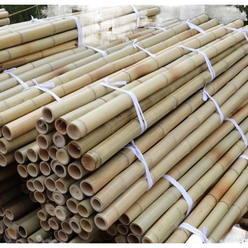 Anticorrosivo varilla de bambú decoración mayorista varilla de bambú gruesa amarilla blanca hortajar verdura pepino marco de bambú bandera de bambú Nan bambú