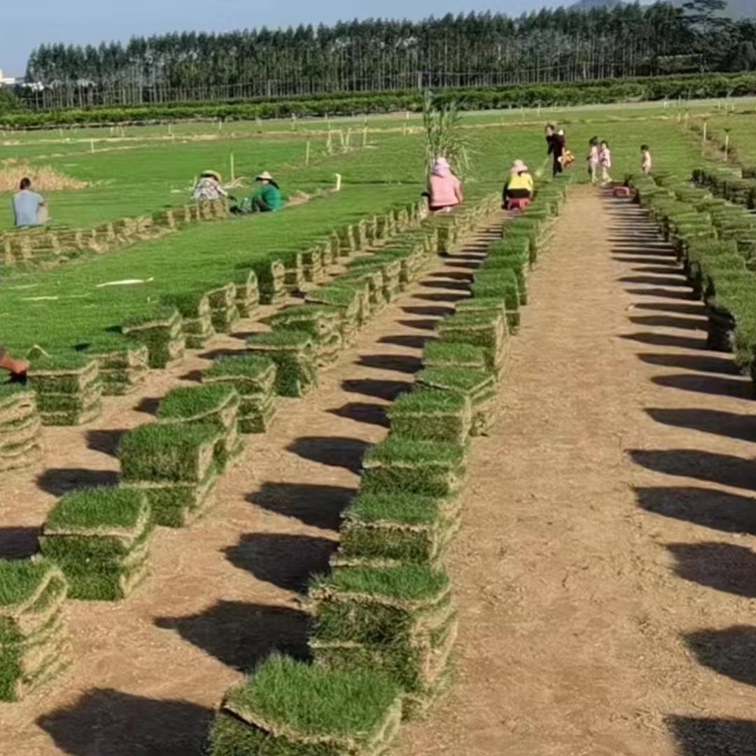 b761a8b5b0b8acfd6100da165373e4