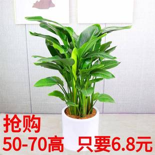 �W�t�����B�����҃ȴ���ֲ���Q���m�͏d�k���Ҵ����ԾGֲ�����B��