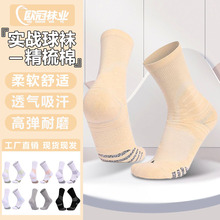 �����л@���m����ߏ��R����ͲӖ���m�Ӻ���������������I�\���m