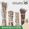 White birch tree rude wood rod landscape tree dead tree tree tree 杈 kindergarten DIY handmade material wall partition decoration