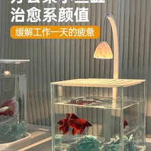 2025新款超白斗鱼缸客厅桌面缸观赏鱼网红缸办公室造景工位玻璃缸