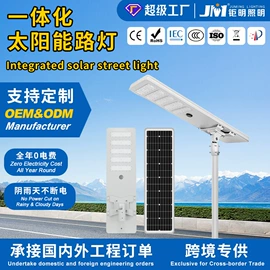 太阳能灯;庭院灯;景观灯