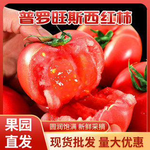 ���_��˹�Fժ�F�lɳȿˮ���������r�Ϲ�����һ�����l