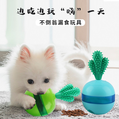 Pets Supplies Amazon new pattern Cactus Tumbler Toys Pets Puzzle Toys wholesale