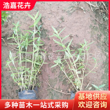 ǧ�������� �@�־G�� ��������OӋ ���ݵر��ݻ�