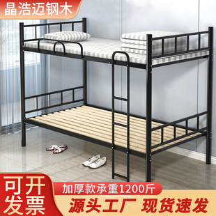 �S�����l�T�������p���Fˇ���WУ�����p���F��1.2��������ľ��