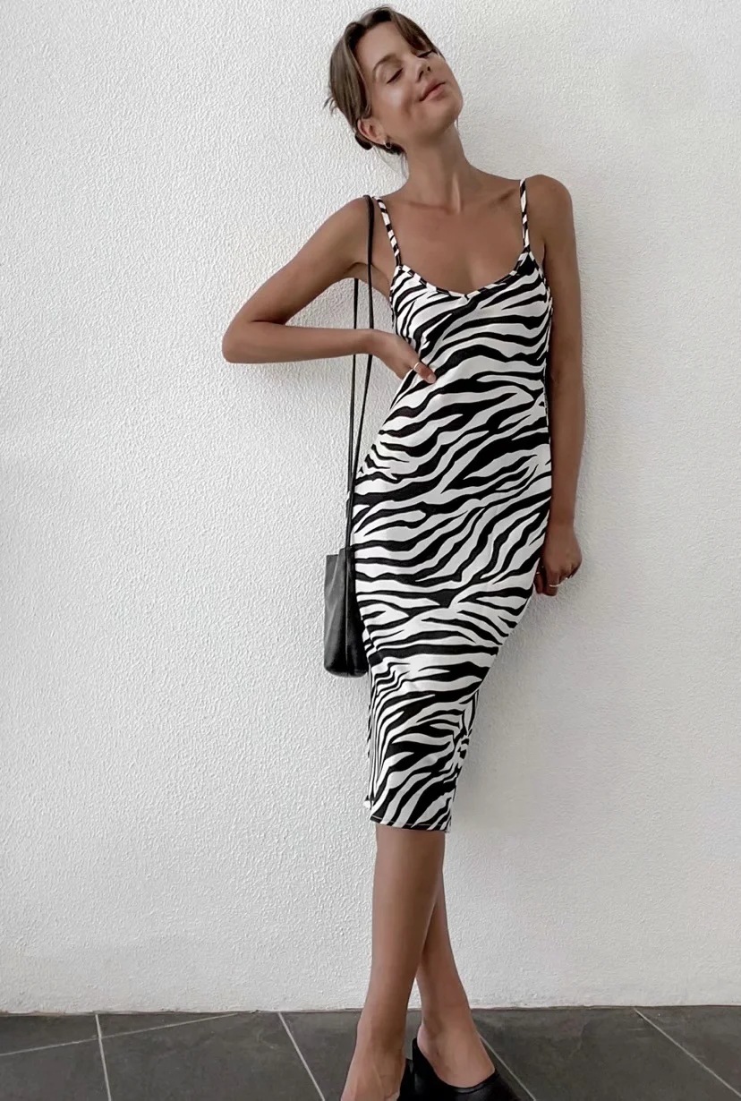 zebra print V-neck temperament suspender dress NSAC42579