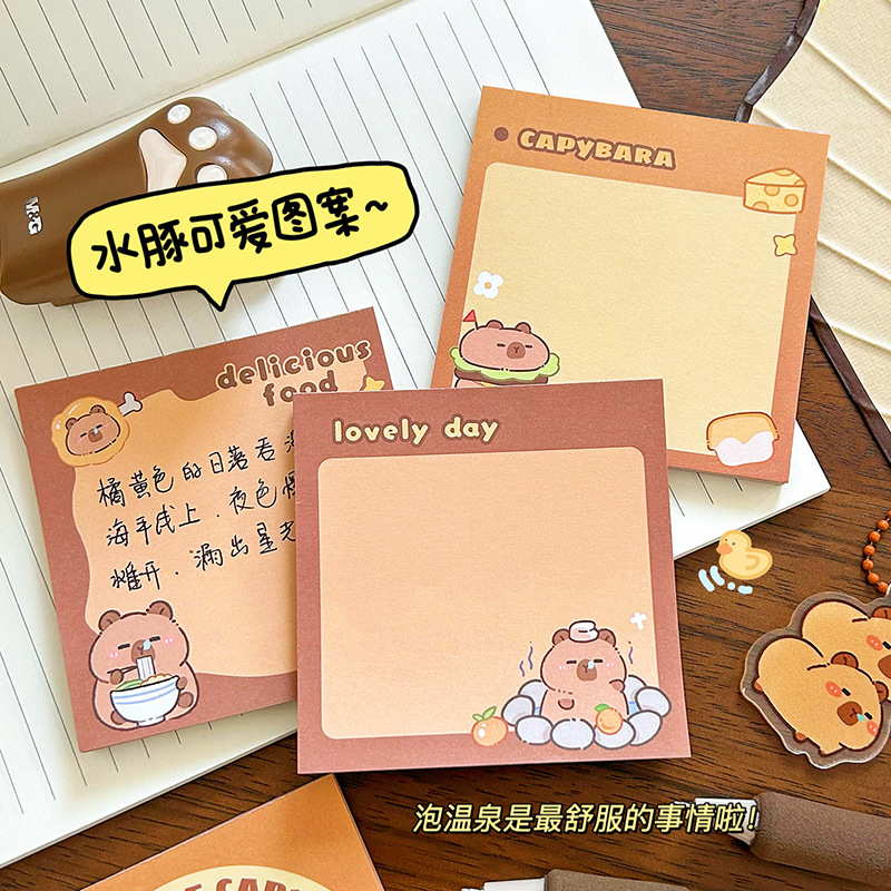 Capilaba Note Pads for Primary and Junior High Students - Non-adhesive Error Correction Sticky Notes for Office Use