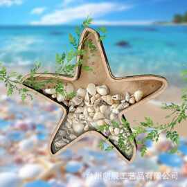 跨境木质工艺品贝壳水晶展示盒个性创意木质桌面展示支架海星摆件