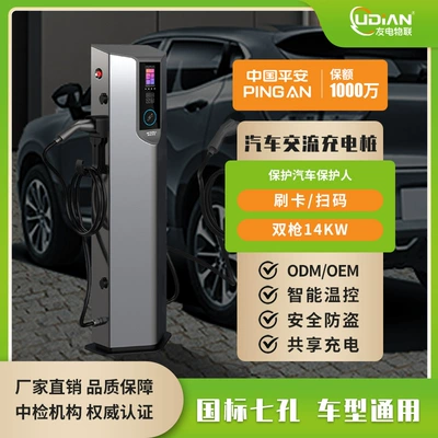 7Kw Dual-Gun Ac Charging Station for New Energy Electric Vehicles with Qr Code/Card Scanning and Temperature Sensing Dual Control, Oem Smart Charging