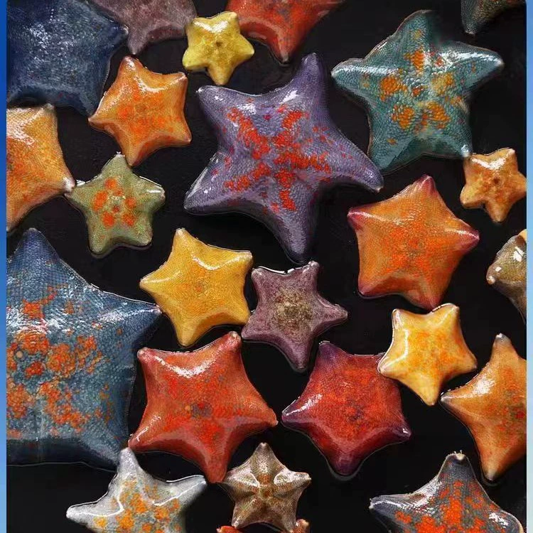 Оптовая продажа живых морских звезд, морские звезды-ласточки, живые морские звезды для домашнего животного, маленькие морские звезды, настольный звездный питомец морской жизни.