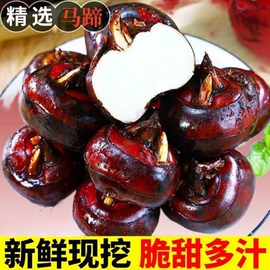 手机保护套;iPhone保护套;鼠标垫