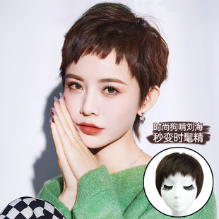 Dog Chewing Bangs Real Hair Wig Set Shu Qi's Same Style Summer Thin Style Fully Hand-Woven Real Hair Two-Dimensional Wig Short Straight Hair