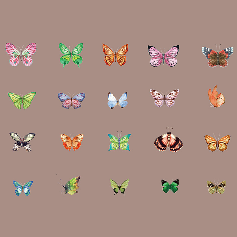 천개의 별과 춤추는 나비