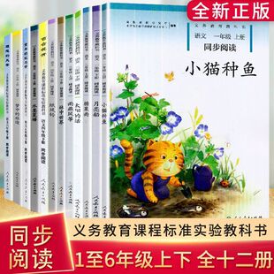 С�W1-2-3-4-5-6�꼉����С؈�N�~ �ǹ����˽̰��Z��ͬ����x