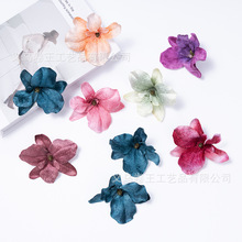 ����10cm���m�� diy�l���^� �������Y���bٻ��zӰ���ߔ[��