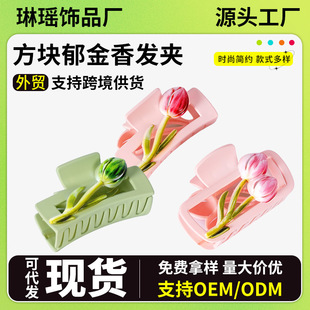 �羳���������nϵץ�AŮ2026�¿�߼��аl��s�l�A���X�����~�A