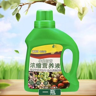 Nutrient Solution Plant Fertilizer for Money Tree, Lucky Bamboo, Pothos, Hydroponic Potted Plants, Flowers, Green Plants, Fertilizer Formula, Wooden Floor