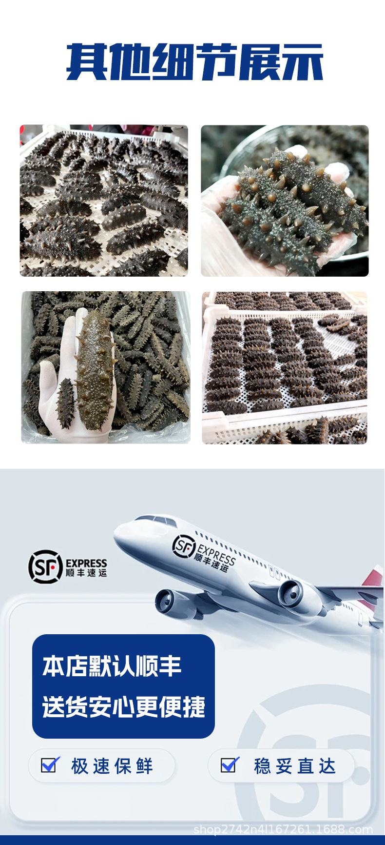 Ready to Eat Sea Cucumber Liaoning Spiny Sea Cucumber Frozen 500g Pack in use