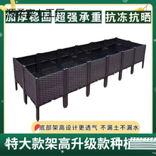 Ø߲˸_ϷN̨Nֲܸ߷NͥԺ