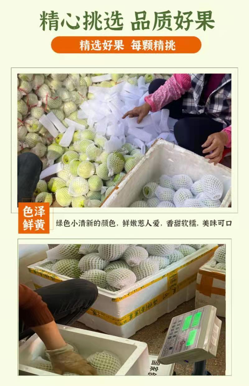 7ba08611-ff62-4cfb-8ebd-8a75daa1f328.jpe