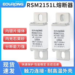 ֱ���۔���DC750V-DC1000V����Դ��܇�۔���RSM(170M)/100A/200A