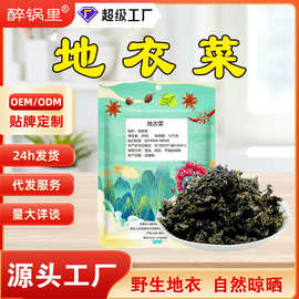 地衣菜甘肃地衣菜干货批发地皮菜农家土特产地衣菜袋装20g地衣菜