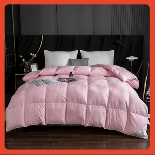 ?�S��ֱ�N80֧�Ứ���w��q�����p�ӷ�荽q�Գ�q�����Z�q��