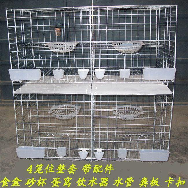 鸽子笼三层养殖笼12位16位鸽笼子多层鸽笼 种鸽笼 配对笼 肉鸽笼