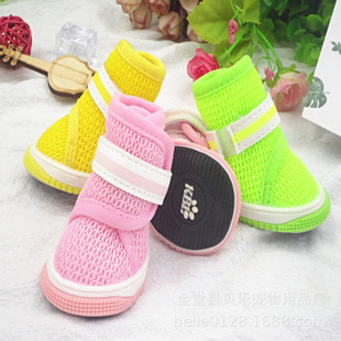 ����Ь�ӾW��͸��С������Ь�����ļ��r��͸�����̩��С��Ȯͨ��
