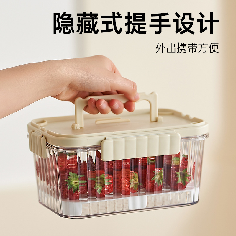 Outdoor Portable Fruit Preservation Box Multi-functional Sealed Cold Household Refrigerator Storage Box Transparent Baby Food Supplementary Box