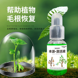Bekesch Activator Genuine Vigor Plant Vigor Concentrated Universal Nutrient Solution for Flower Rooting