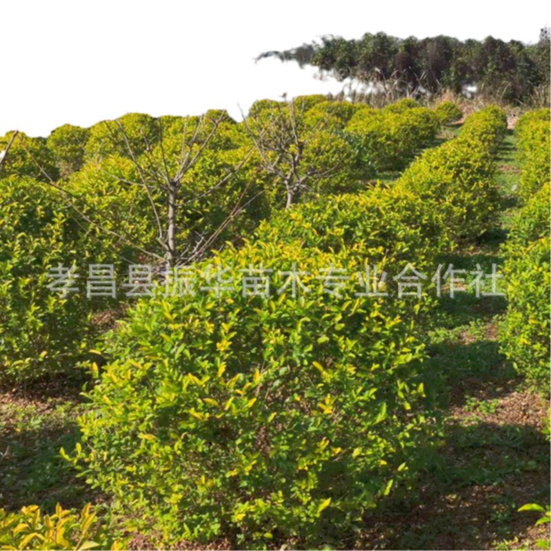 2025-01-04 18:46:12.jpg