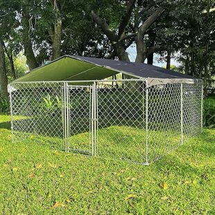 �羳������̖����ͥԺ��Ժ�����u������dog kennel�Ȍ��\�ӹ��\