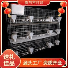 鸽子笼特大号养殖家用鸽棚12位信鸽繁殖笼巢箱16位肉鸽配对笼鸽笼