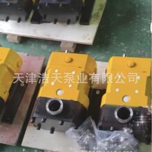 不锈钢40CR转子泵 果酱 蜂蜜 酱料 糖蜜 胶水 沥青 稠油转子泵