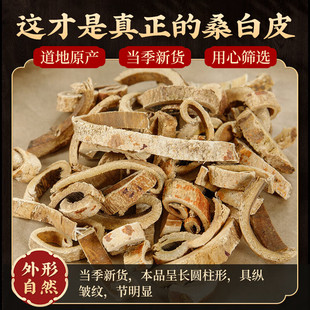 ɣ��Ƥ��ș ɣ��Ƥ��Ұ��ɣ��Ƥ��ɣƤ�S��Ƥ��ɣƤ��؛XZ