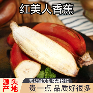 �t�����㽶���rˮ������ܛŴ�����tƤ�㽶�t�㽹������]һ��