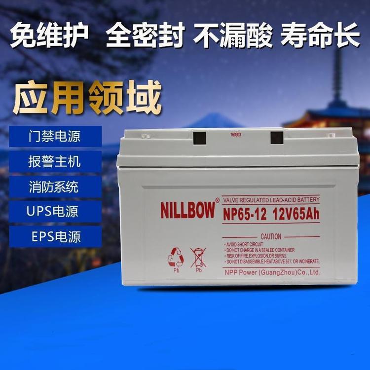 CNW 储霸蓄电池6-GFM-65 储能铅酸蓄电池12V65AH 免维护储能电瓶