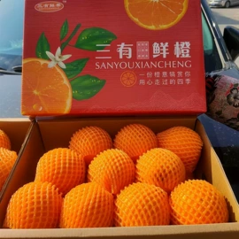 植物油;大米;调和油