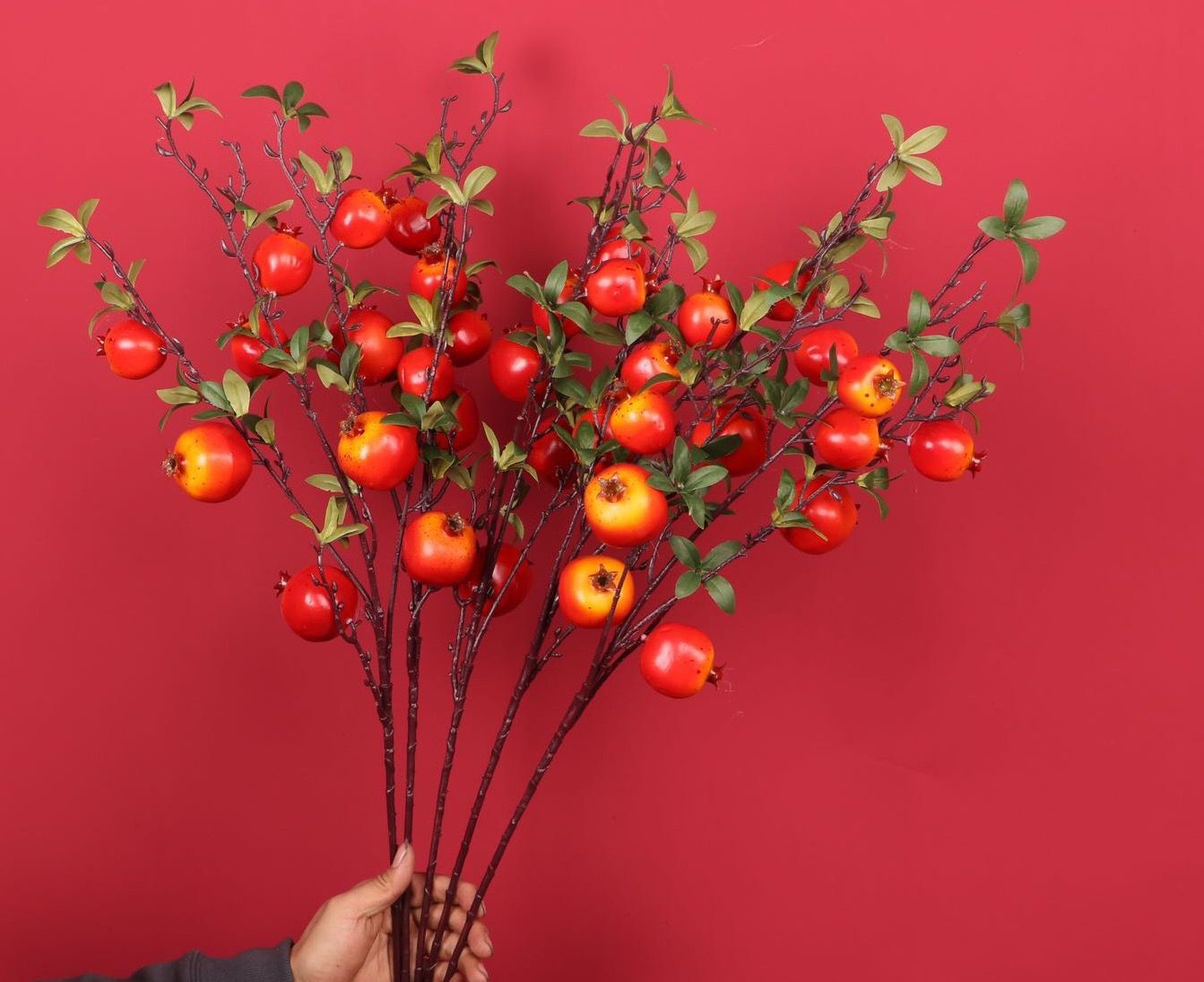 QQ图片20221105215047