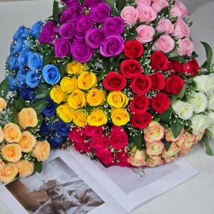 ����Wʽõ�廨��12�^�M����Сõ��Ҿӻ�c�bٻ�����������