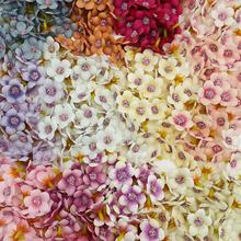 Rdu2.5С F؛rջcػb