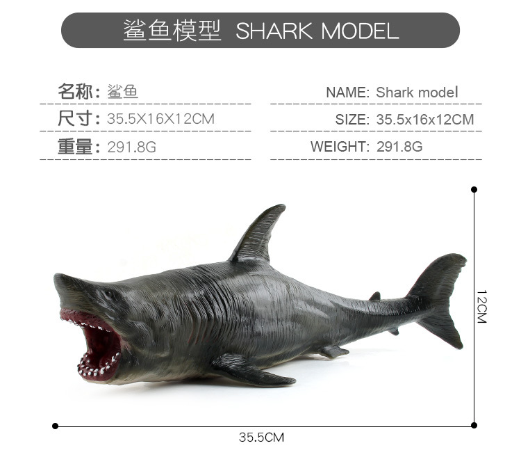 鲨鱼_02.jpg
