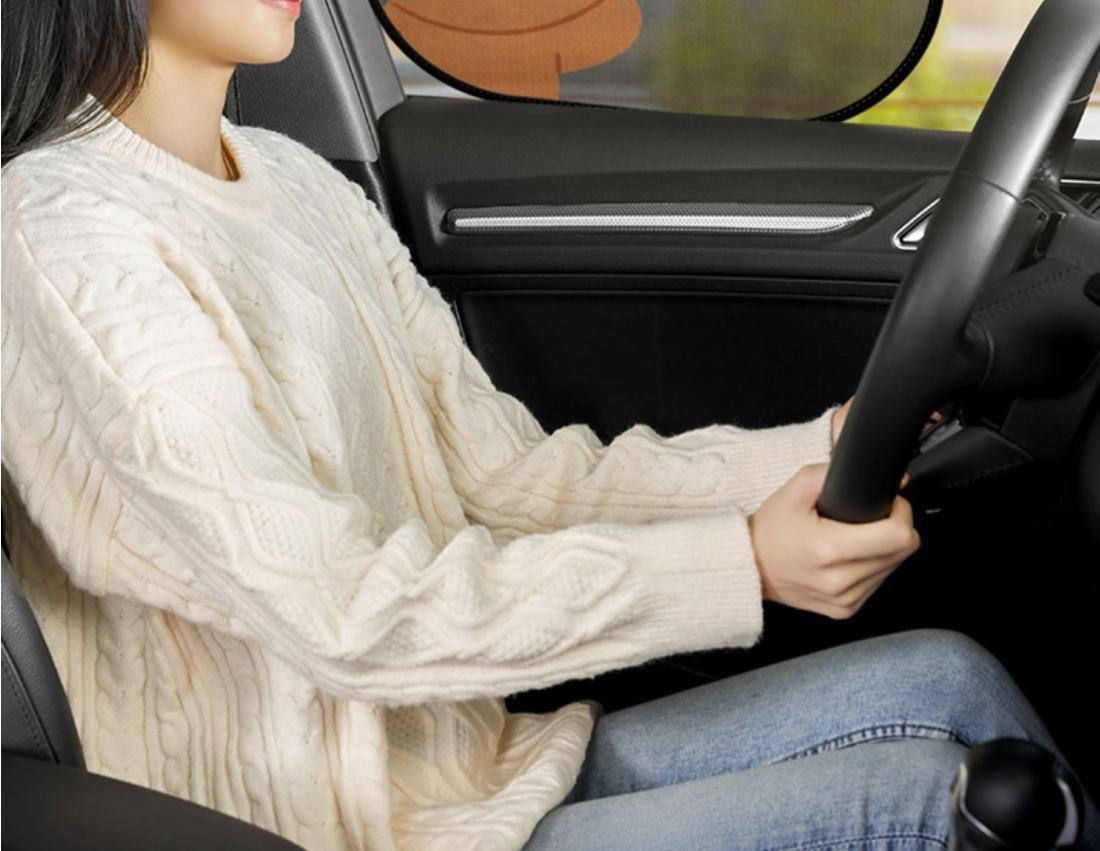 Line Car Sunshade Curtain, Heat-Insulating Sunshade, Summer Sunshade, Front Windshield Sunshade, Suction Cup Sunshade