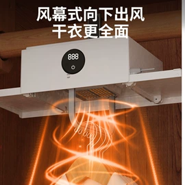 其他生活电器;干衣机;电动刮痧仪