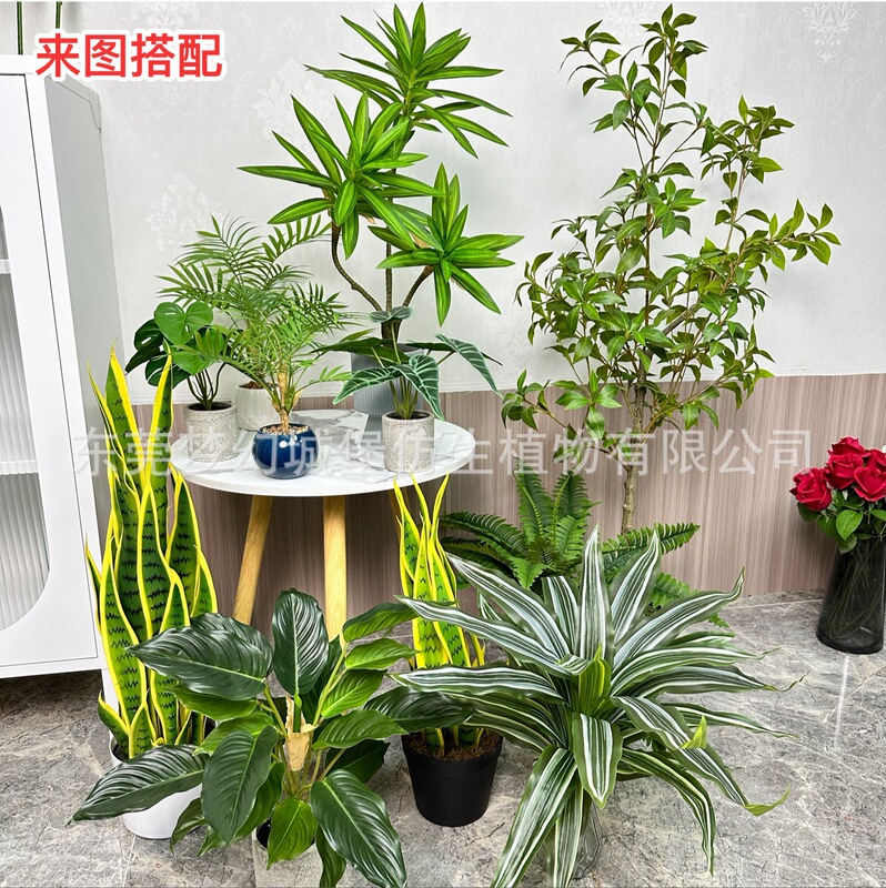 Desktop Bonsai Living Room Decoration Floor-Standing Plastic Fake Flower Decoration Simulated Plant Turtle Back Simulated Green Plant Small Potted Plant