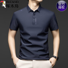 ��ľ�B�߶˱��z��ʿ����t�����I����polo��2026�ļ��¿��̄����b